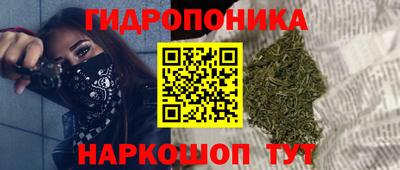 Альфа ПВП Канаш