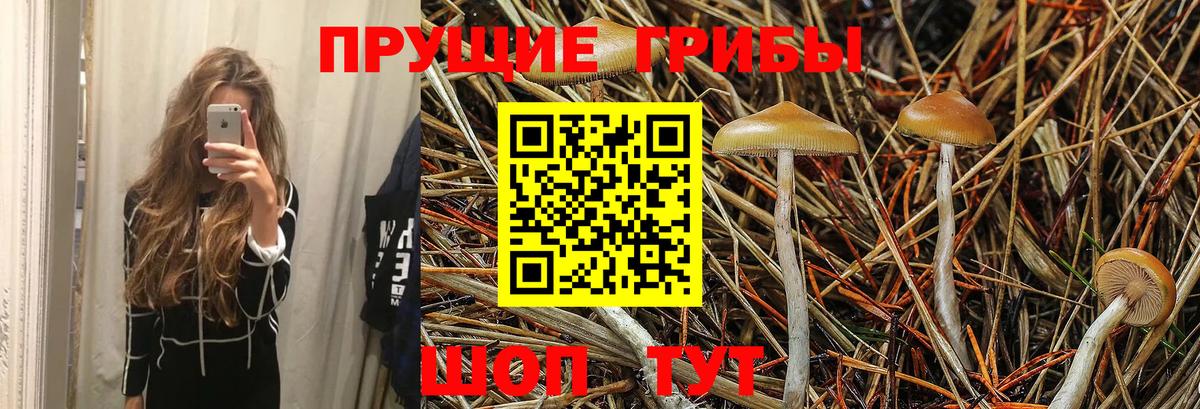 Галлюциногенные грибы Magic Shrooms  Вход с VPN  Новокуйбышевск 