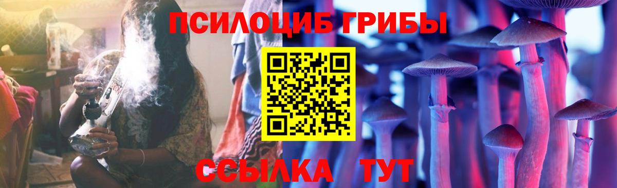 Галлюциногенные грибы прущие грибы Новокуйбышевск